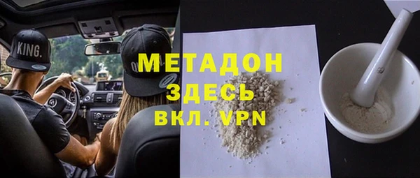 прущие грибы Горняк
