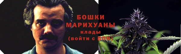 ПСИЛОЦИБИНОВЫЕ ГРИБЫ Вяземский