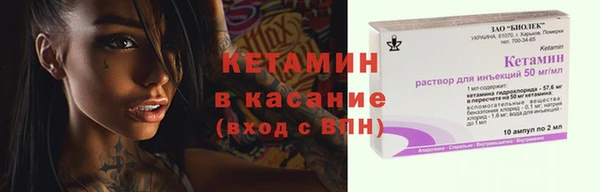 прущие грибы Новозыбков
