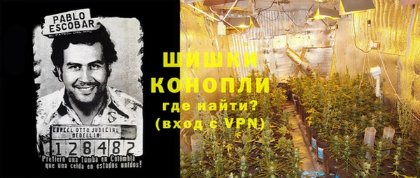 ПСИЛОЦИБИНОВЫЕ ГРИБЫ Вяземский