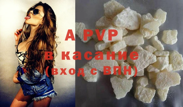 прущие грибы Горняк