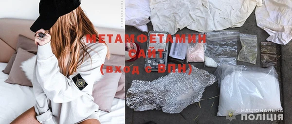 ПСИЛОЦИБИНОВЫЕ ГРИБЫ Вяземский