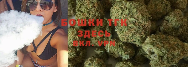 стаф Горнозаводск