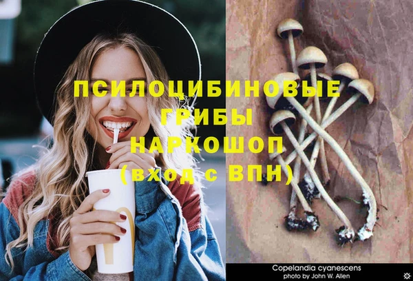 прущая мука Новодвинск