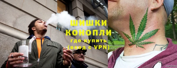 ПСИЛОЦИБИНОВЫЕ ГРИБЫ Вяземский