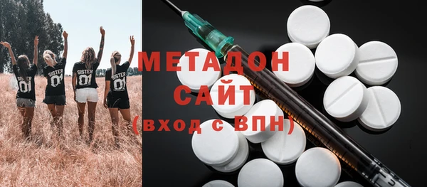 ПСИЛОЦИБИНОВЫЕ ГРИБЫ Вяземский