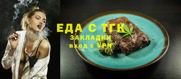 прущие грибы Новозыбков